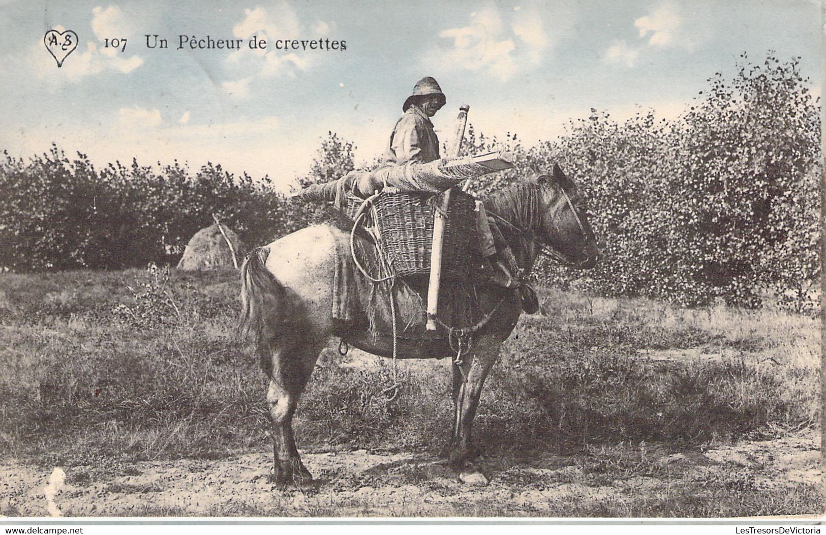 Pêche - Métier - Un Pêcheur De Crevettes à Cheval -  Carte Postale Ancienne - Pêche