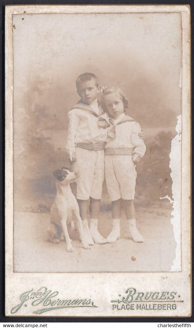 VIEILLE PHOTO CDV GARCON ET FILLE AVEC FOX TERRIER - BOY AND GIRL WITH FOX TERRIER - PHOTO HERMANS BRUGES - Ancianas (antes De 1900)