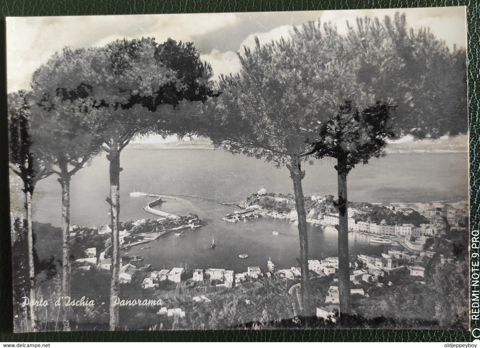 POSTCARD CARTOLINA ISCHIA PORTO  PANORAMA - Andere & Zonder Classificatie