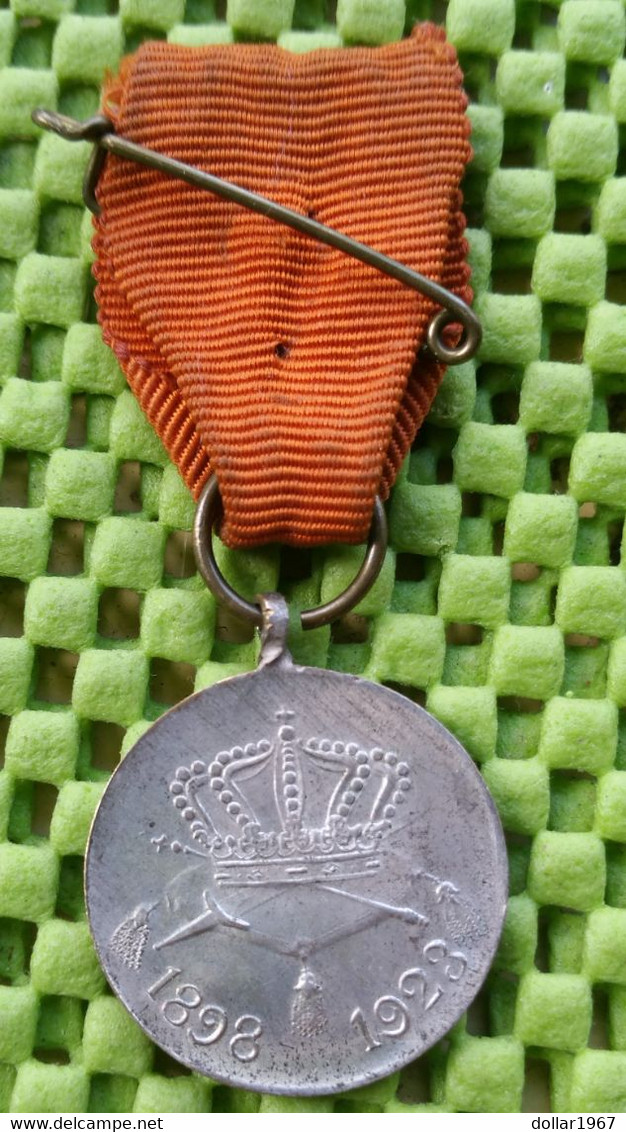 Medaille -  Wilhelmina 1898-1923  - The Netherlands - Royal/Of Nobility