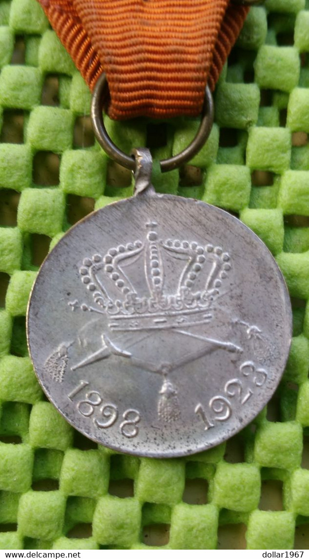 Medaille -  Wilhelmina 1898-1923  - The Netherlands - Royaux/De Noblesse