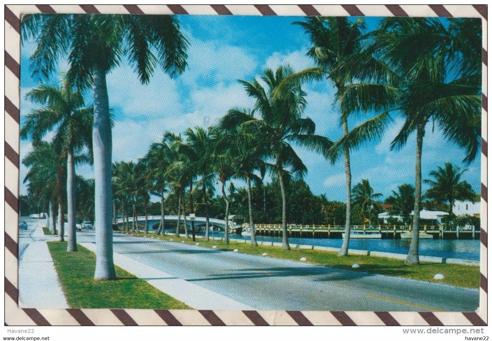 6AI994 FAMOUS LAS OLAS BOULEVARD IN FORT LAUDERDALE FLORIDA   2 SCANS - Fort Lauderdale