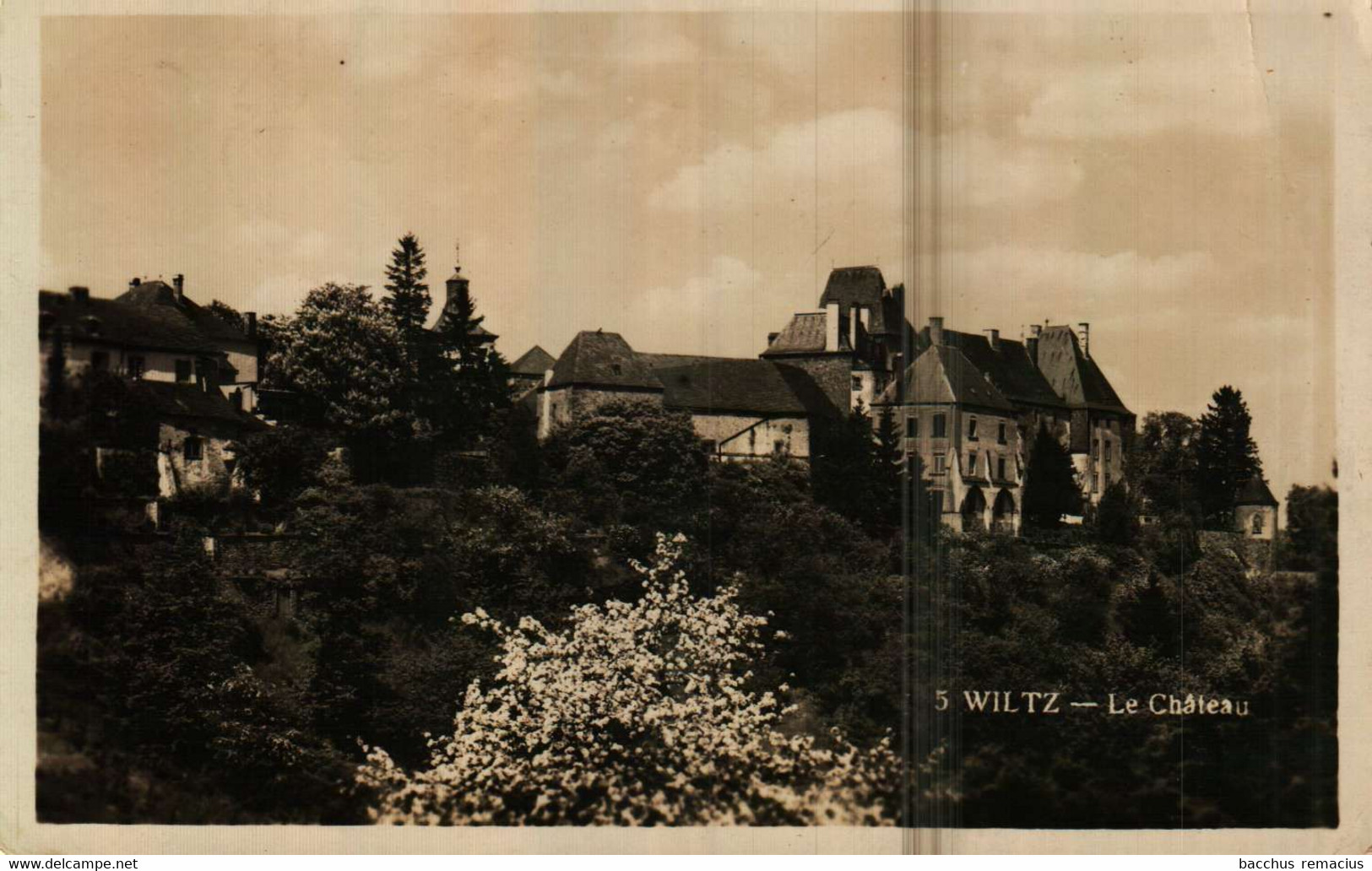 WILTZ  Le Chateau  Nr 5 - Wiltz