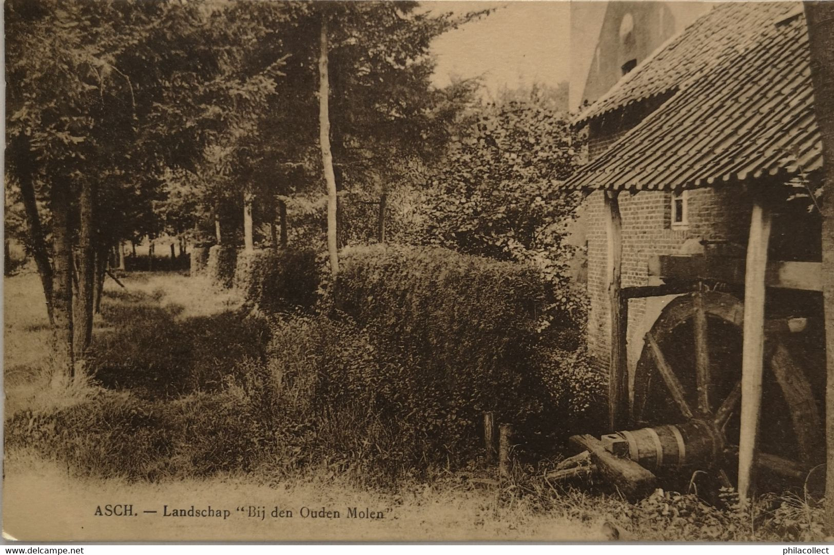 As - Asch // Landschap Bij Den Ouden Molen 1929 - As