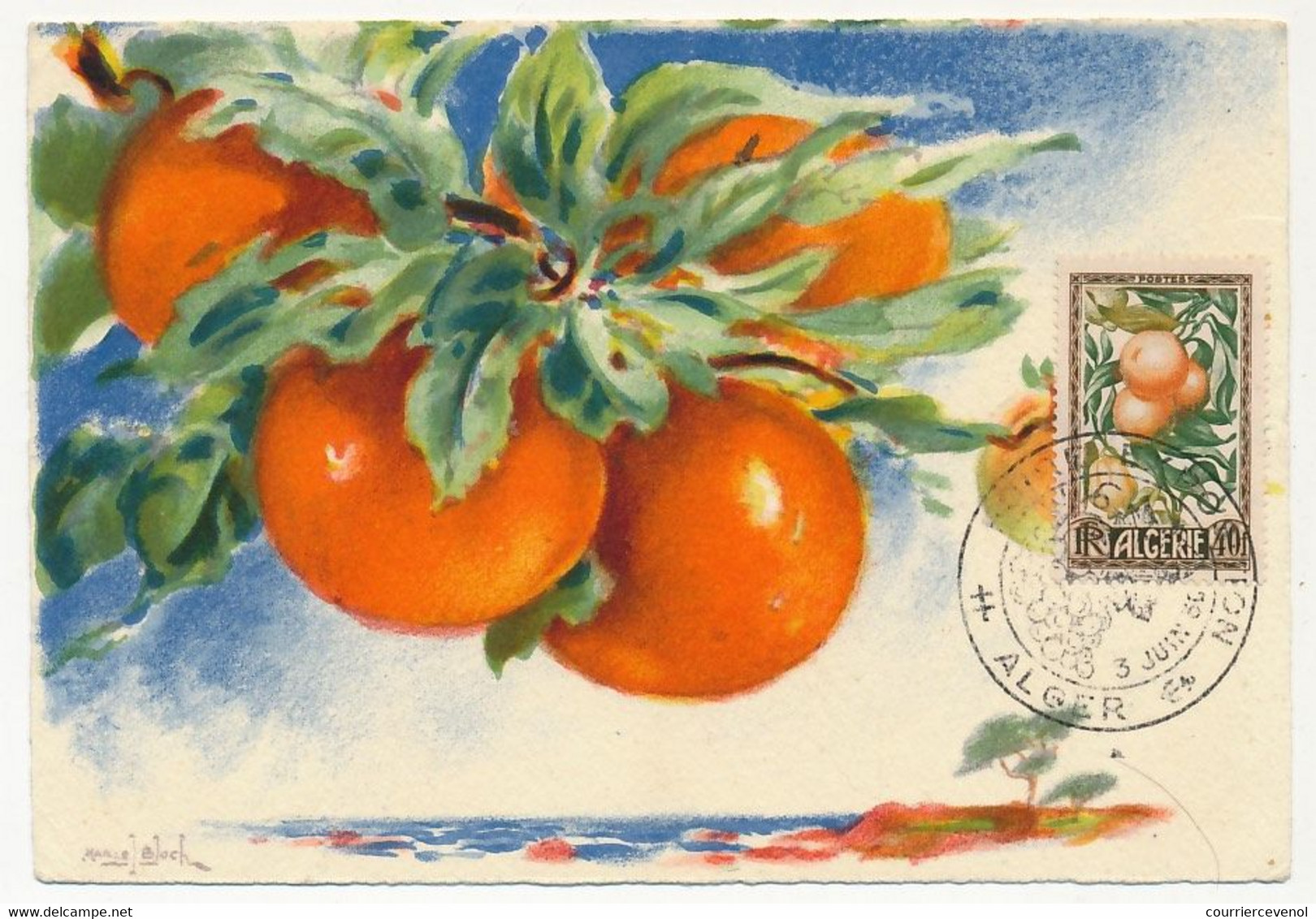 ALGERIE - Carte Maximum 40F Oranges Et Citrons N°281 - Obl Alger 3 Juin 1966 - Maximum Cards