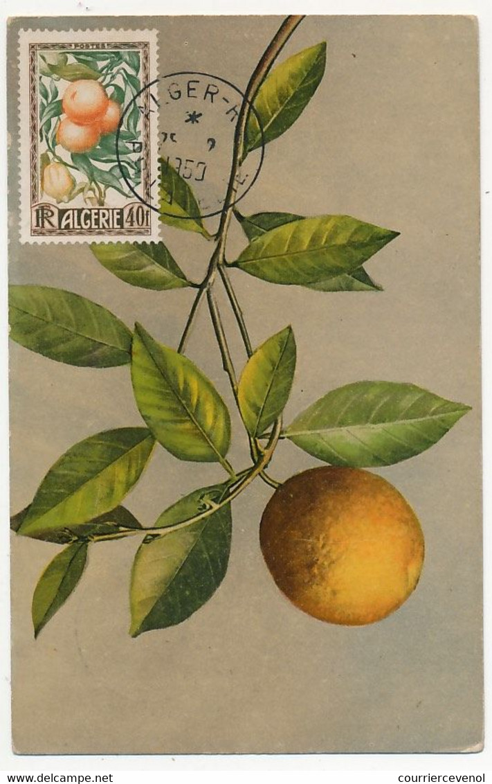 ALGERIE - Carte Maximum 40F Oranges Et Citrons N°281 - Obl Alger R.P. Philatélie 1950 - Cartoline Maximum
