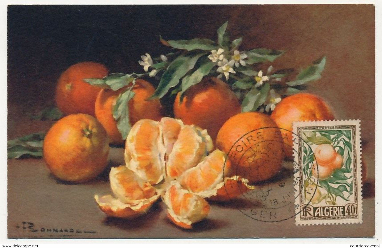 ALGERIE - Carte Maximum 40F Oranges Et Citrons N°281 - Obl Alger Foire Exposition 18 Juin 1960 - Maximumkarten