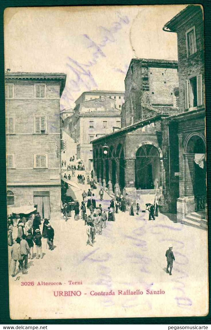 G116 - URBINO CONTRADA RAFFAELLO SANZIO ANIMATISSIMA  - 1912 - Urbino
