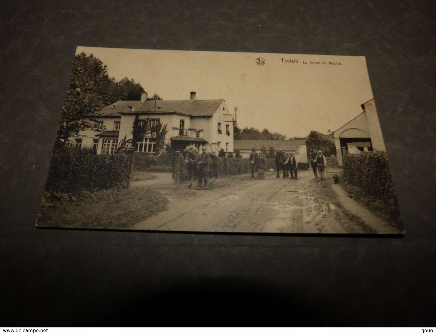 Carte Postale Eghezée Taviers La Ferme Du Moulin - Eghezée