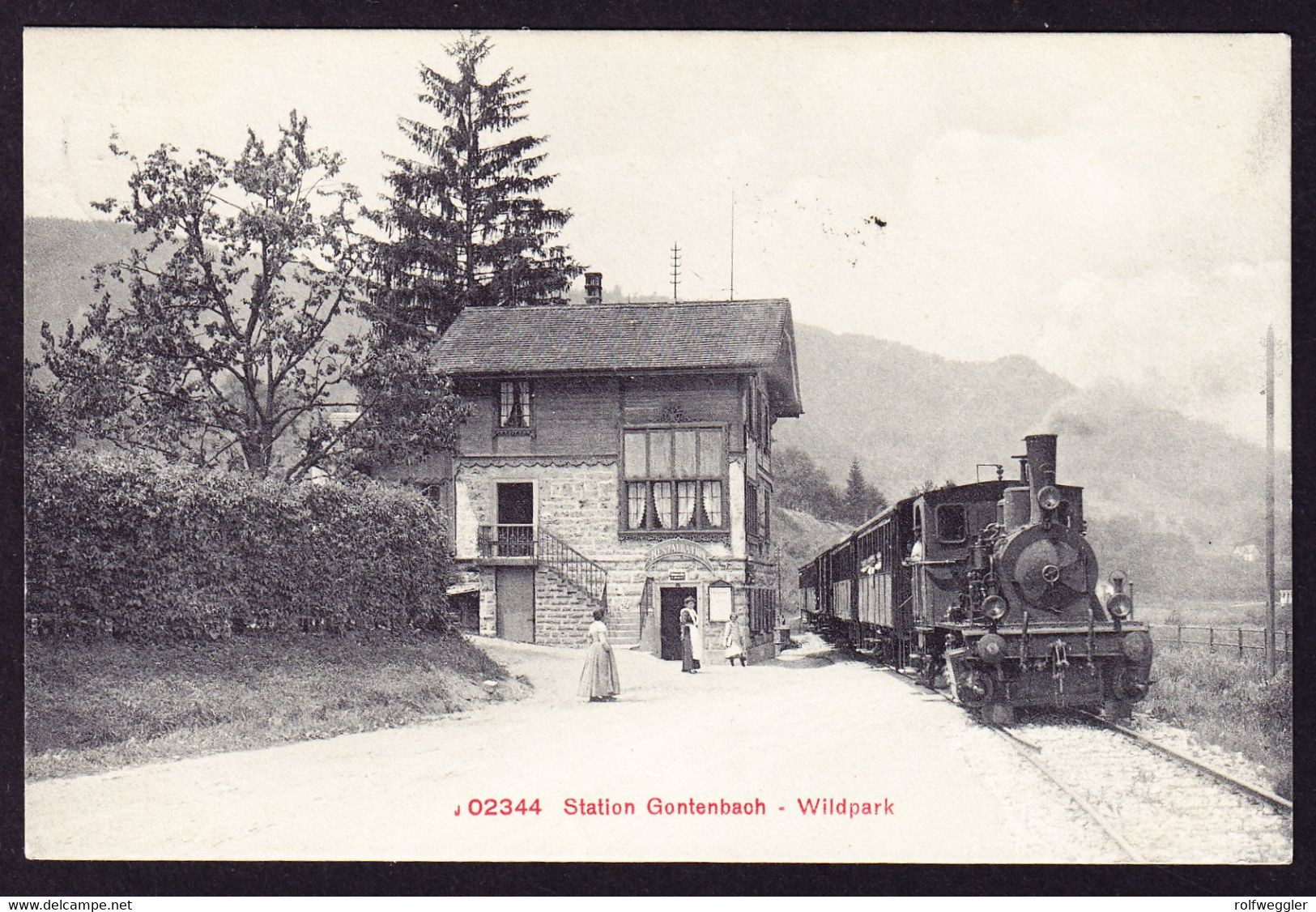 1910 Gelaufene AK: Bahnhof Gontenbach Wildpark Mit Dampflok. Mit Stabstempel LANGNAU (Zürich) - Langnau Am Albis 