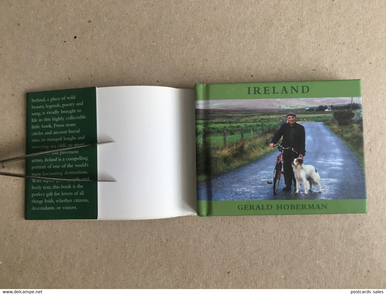 Gerald Hoberman - Ireland - Illustrated Album And Text - Size Of The Book 100/78 Mm - 80 Pages - Europa
