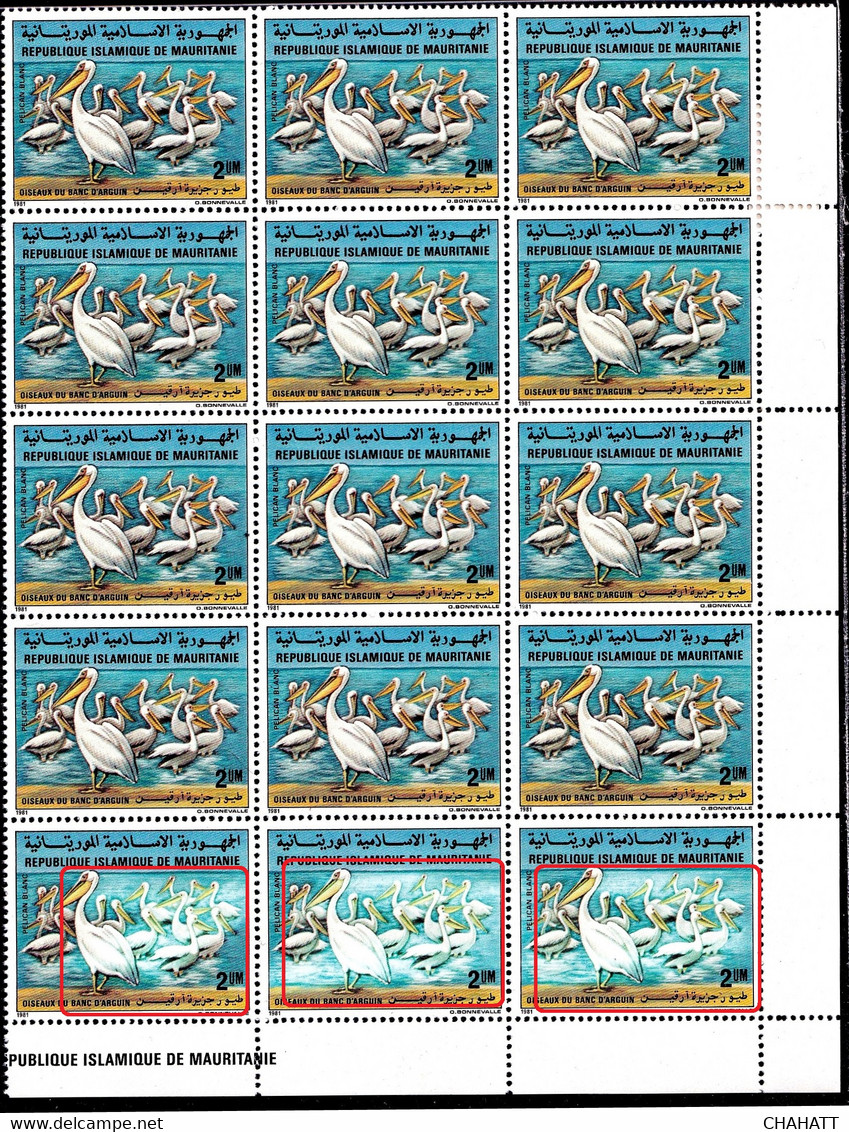 GREAT WHITE PELICANS- BLOCK OF 15-ERROR- 3 BOTTOM VALUES AFFECTED-COLOR VARIETY-MAURITANNIA- RARE-MNH-M4-40 - Pélicans