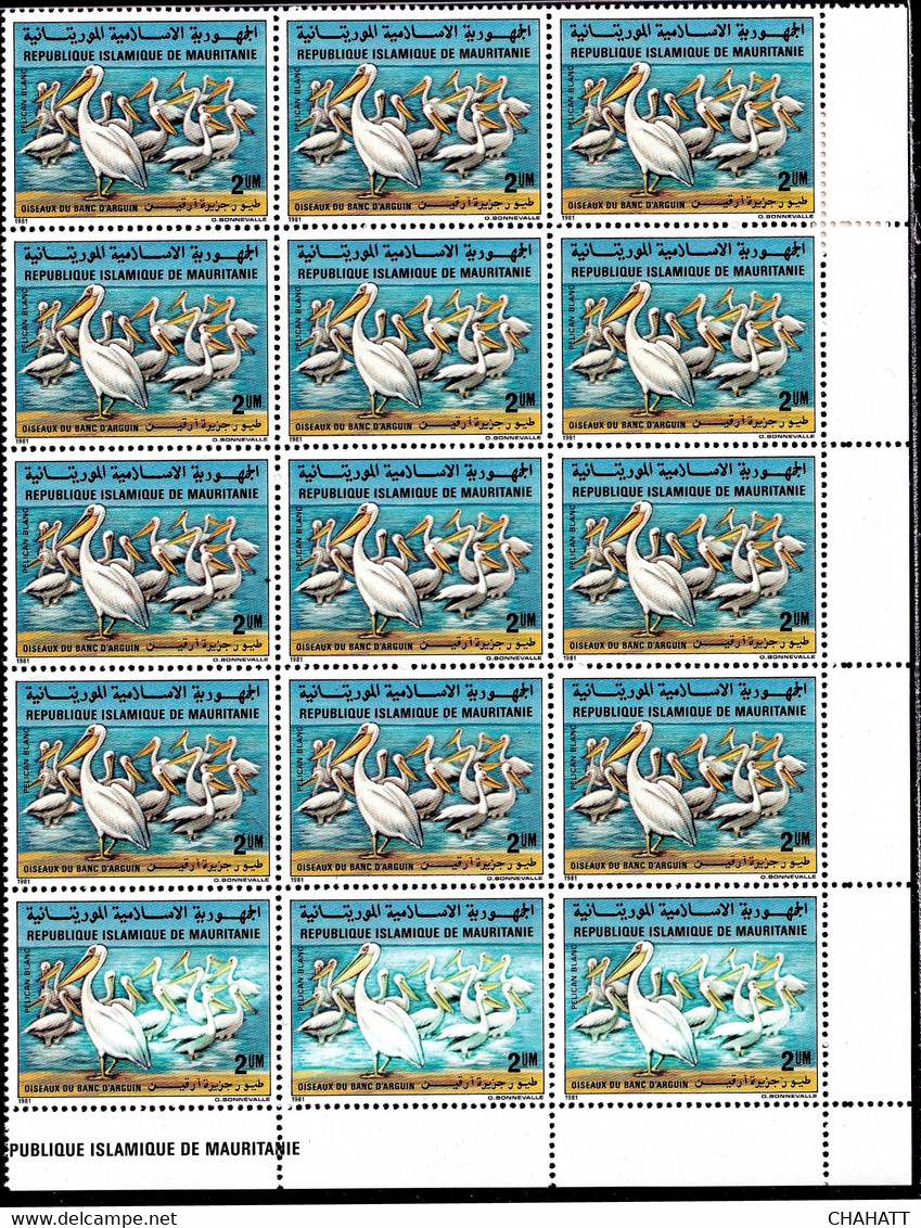GREAT WHITE PELICANS- BLOCK OF 15-ERROR- 3 BOTTOM VALUES AFFECTED-COLOR VARIETY-MAURITANNIA- RARE-MNH-M4-40 - Pélicans