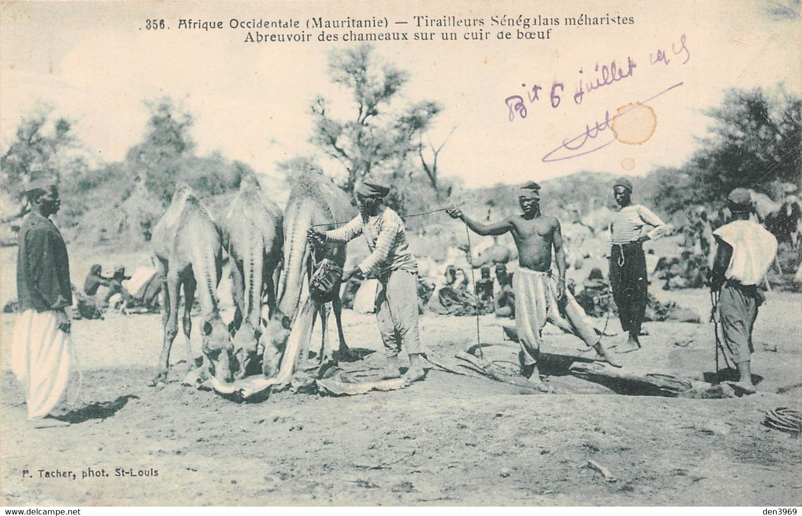 Afrique Occidentale - MAURITANIE - Tirailleurs Sénégalais Méharistes - Abreuvoir Des Chameaux Sur Un Cuir De Boeuf - Mauritanië