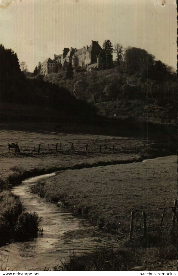 WILTZ (Luxbg)  Le Chateau  Messageries Paul Kraus Nr 207 - Wiltz