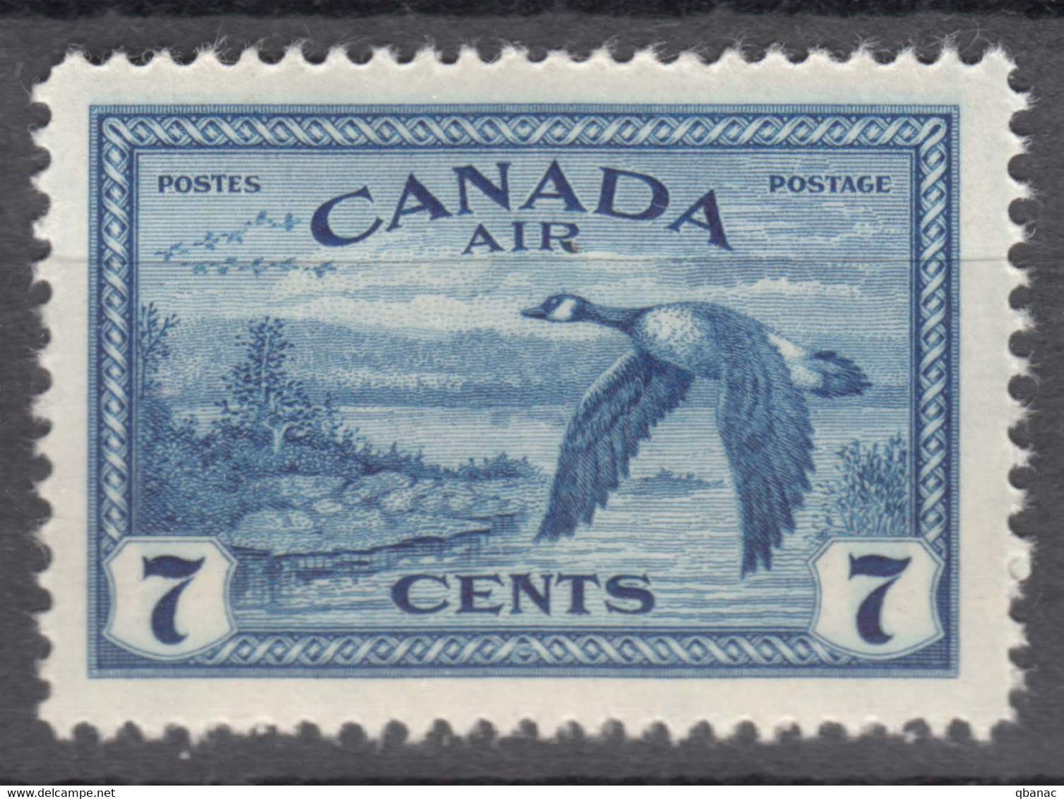 Canada 1946 Airmail Duck Mi#241 Mint Never Hinged - Unused Stamps