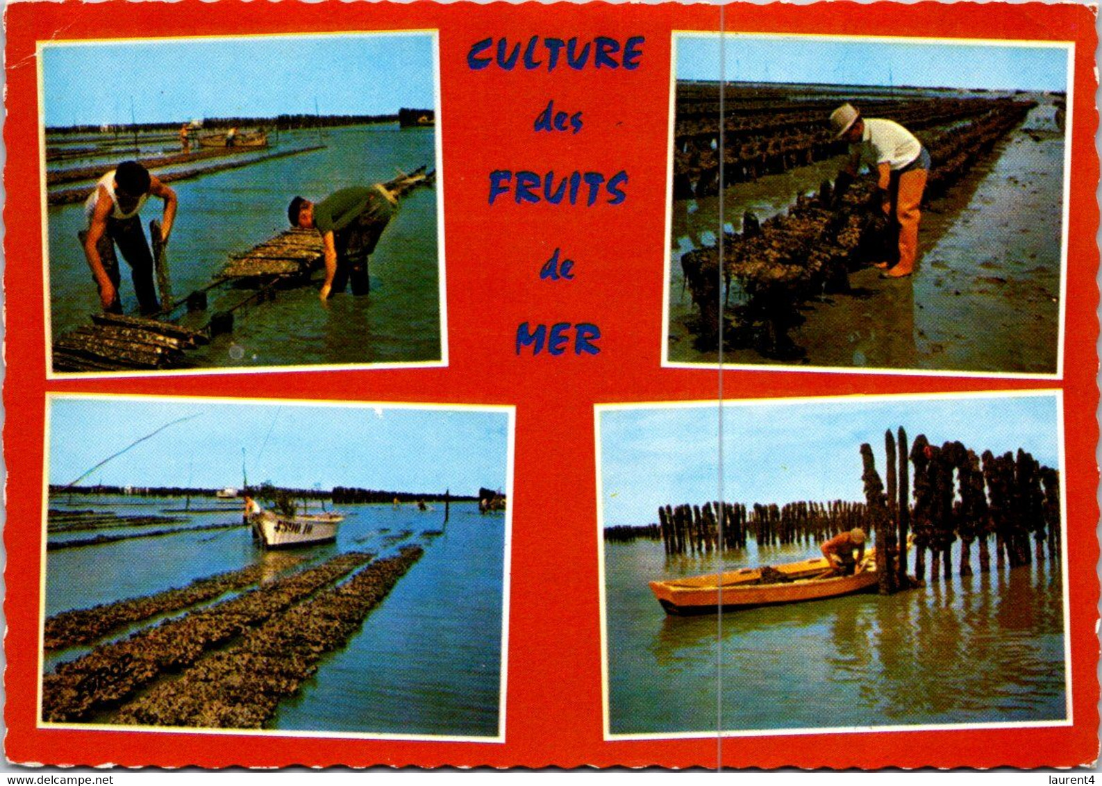 (3 Oø 2) France (posted  1971) Culture Des Fruits De Mer - Ostreiculture - Cultures