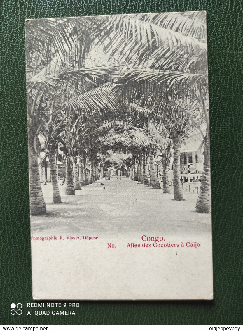 POSTCARD 1904 OLD POSTCARD PHOTOGRAPHIE R.VISSER, DÉPOSE CONGO Allee Des Cocotiers á Caijo Nº - Frans-Kongo