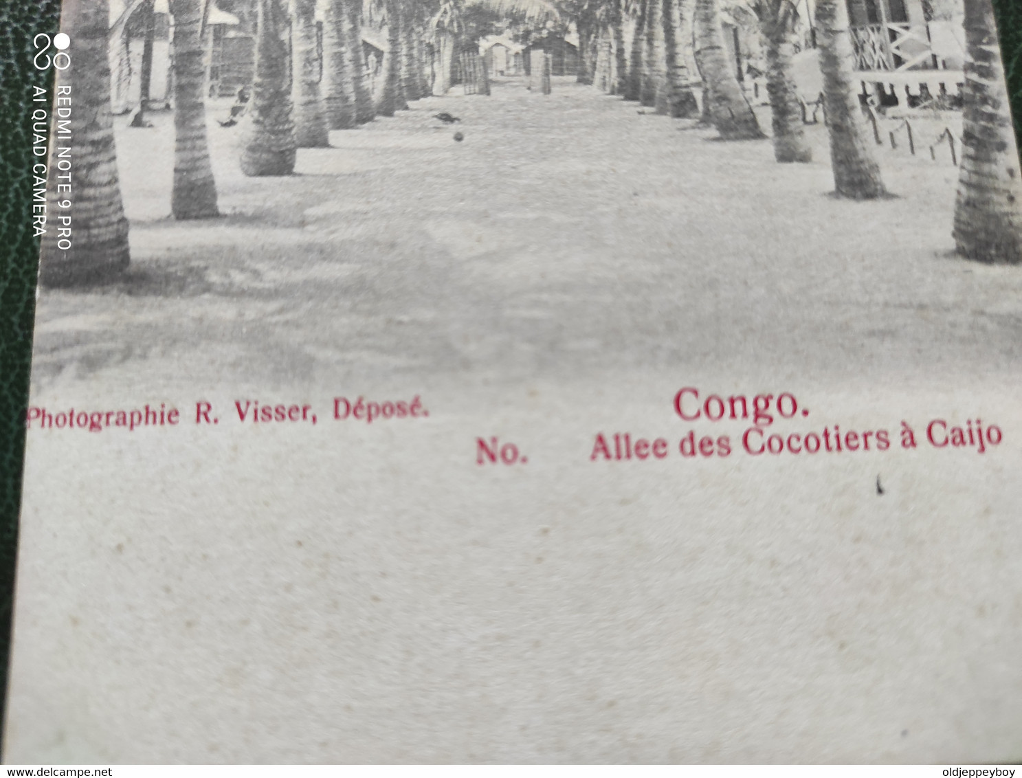 POSTCARD 1904 OLD POSTCARD PHOTOGRAPHIE R.VISSER, DÉPOSE CONGO Allee Des Cocotiers á Caijo Nº - Congo Francese
