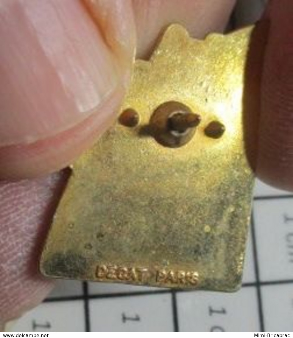 1215A Pin's Pins / Beau Et Rare / INFORMATIQUE / FAX OU IMPRIMANTE CANON Par DECAT - Informatique
