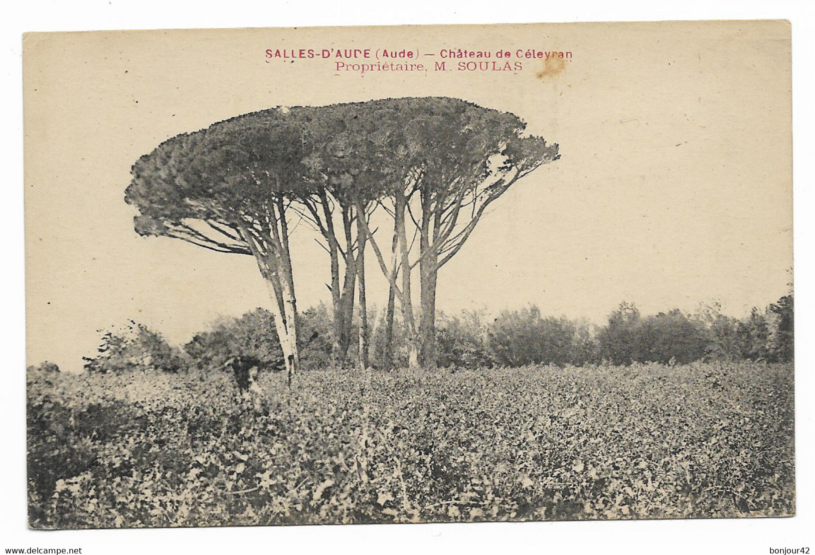 SALLES-D'AUDE (AUDE 11) Château De Céleyran - Propriétaire M. SOULAS N°1 - Salleles D'Aude