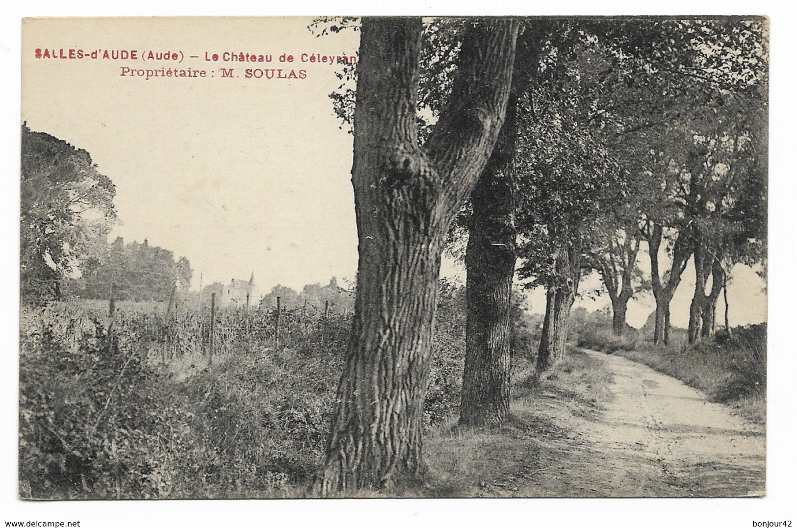 SALLES-D'AUDE (AUDE 11) Château De Céleyran - Propriétaire M. SOULAS N°2 - Salleles D'Aude