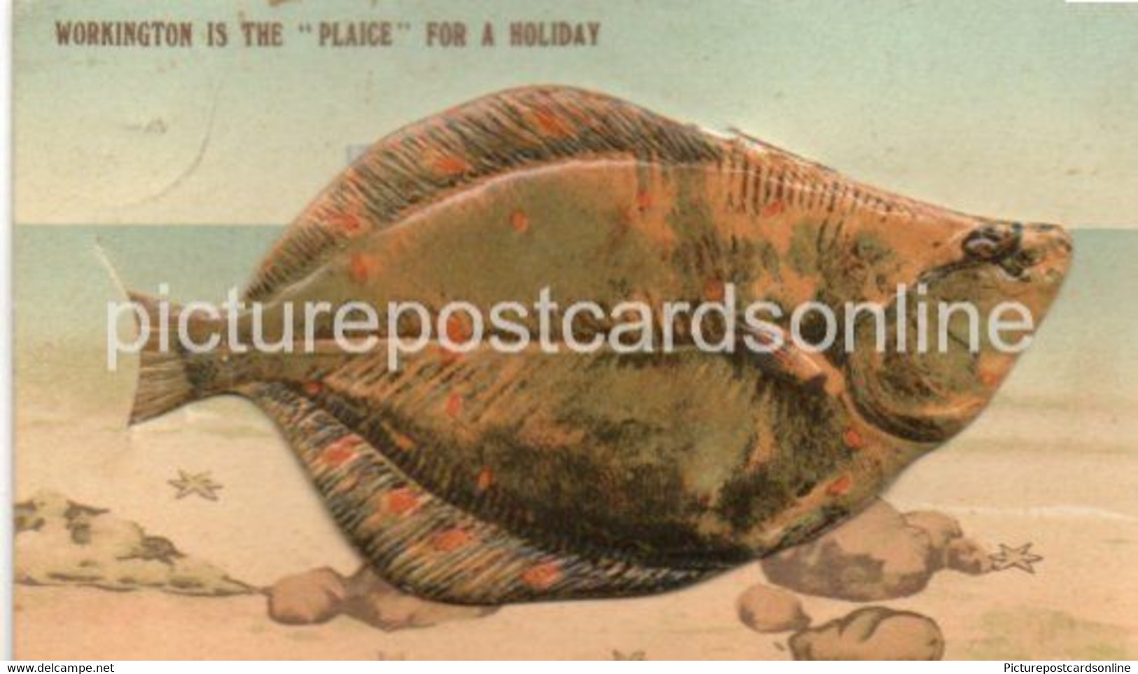 WORKINGTON IS THE PLAICE FOR A HOLIDAY OLD COLOUR POSTCARD CUMBRIA NOVELTY PULL OUT VIEWS - Workington