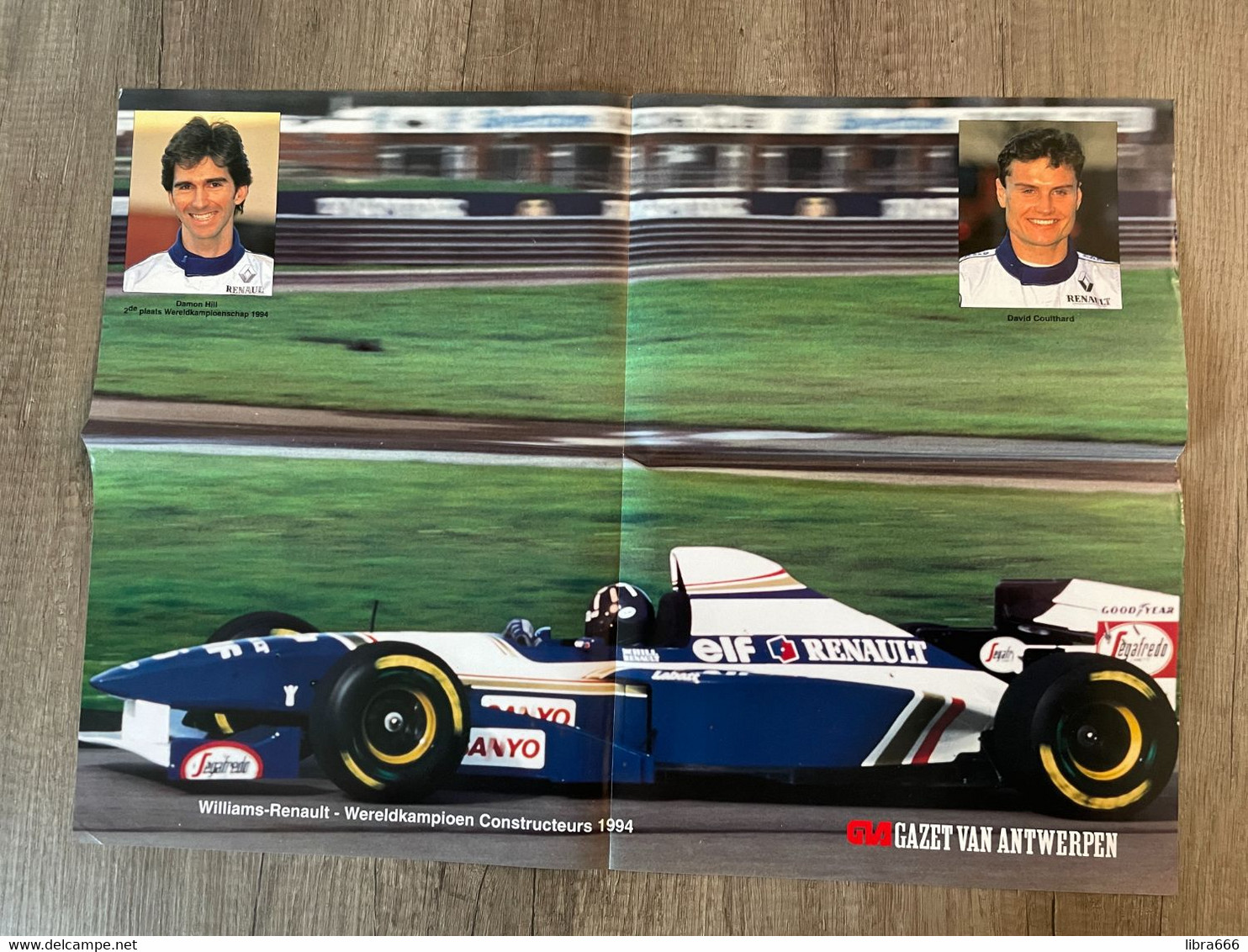 Poster / Affiche - Damon HILL - David COULTHARD - Williams-Renault WC 1994 - 55 X 40 Cm. - Automobilismo - F1