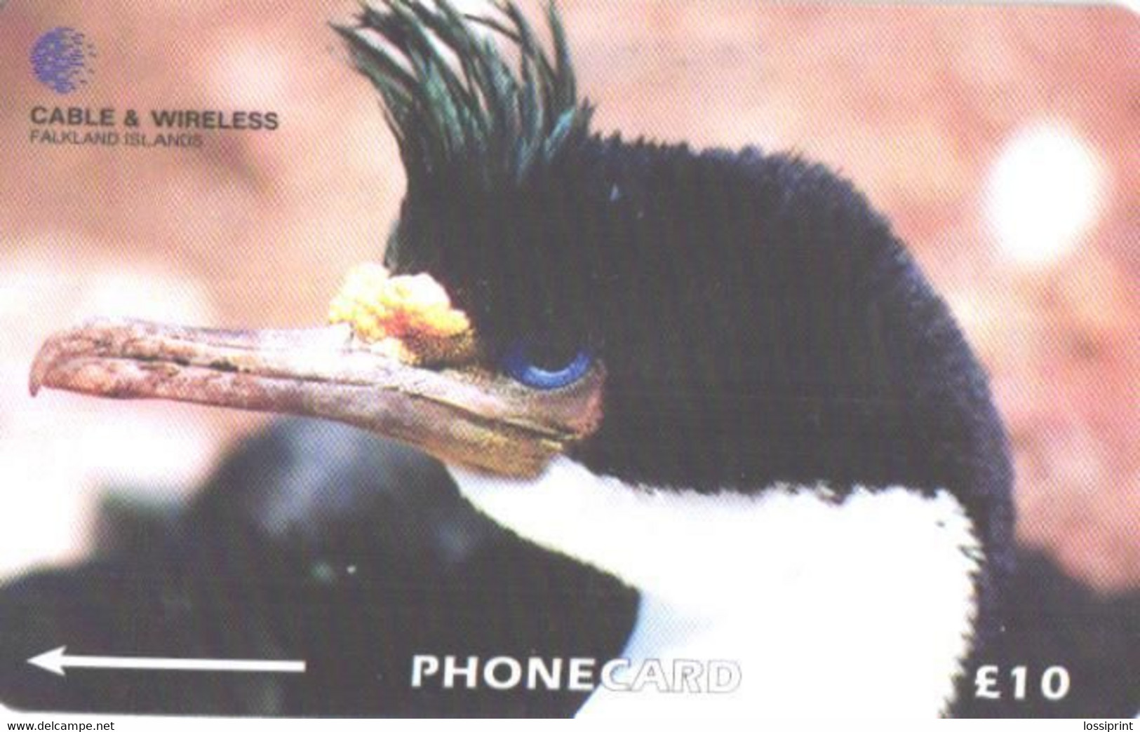 Falkland Islands:Used Phonecard, Cable & Wireless, 10£, Bird, King Cormorant, Phalacrocorax Atriceps Albiventer - Falkland Islands