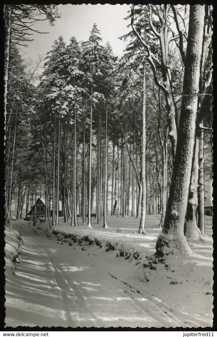 (B2953) AK Amönenhöhe Bei Itzehoe Im Winter - Itzehoe