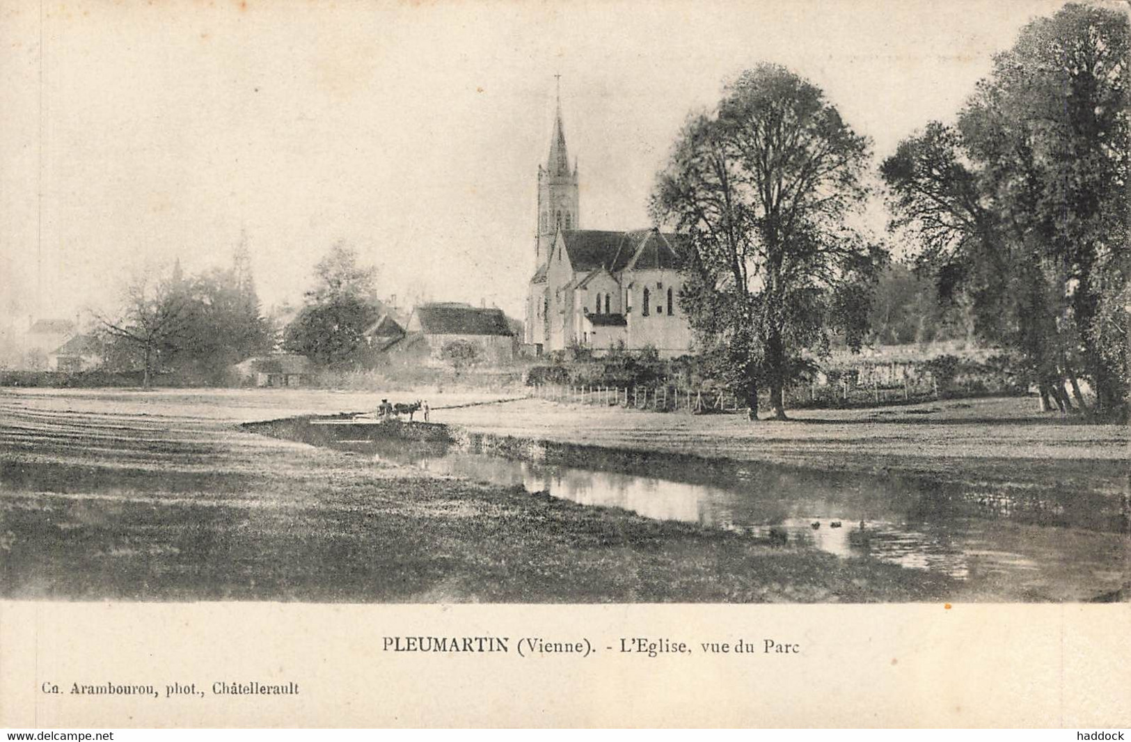 PLEUMARTIN : L'EGLISE, VUE DU PARC - Pleumartin