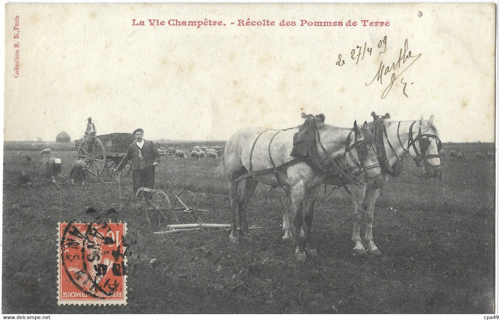 80   AGRICULTURE  LA  CHAMPETRE  RECOLTE  DES  POMMES  DE  TERRE - Culture