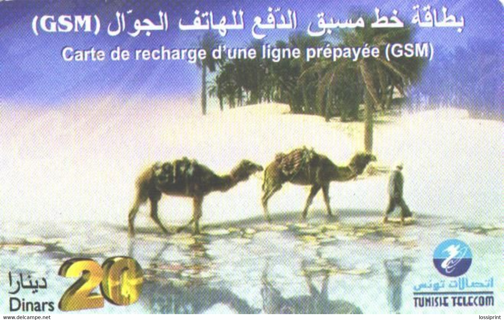 Tunisia:Used Phonecard, Tunisie Telecom, GSM Card, 20 Dinars, Camels And Oasis - Tunisia