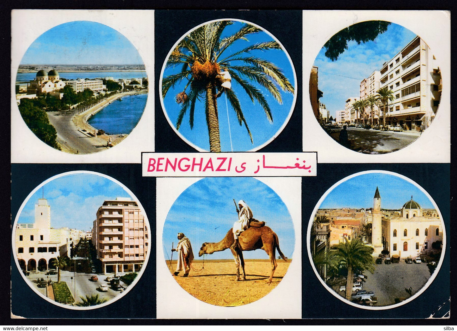 Libya 1972 / Benghazi Multi View, Panorama, Palm Tree, Camel, Mosque - Libia