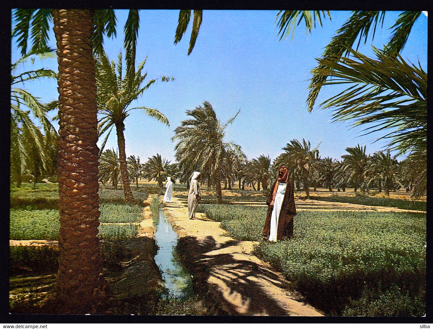 Kuwait / A Green Farm / Unused, Uncirculated - Kuwait