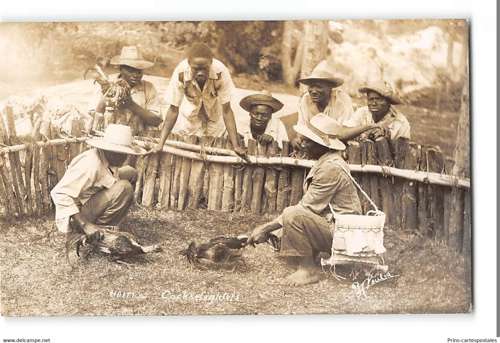 CPA Carte Photo Haiti Cocks Fighters - Haïti