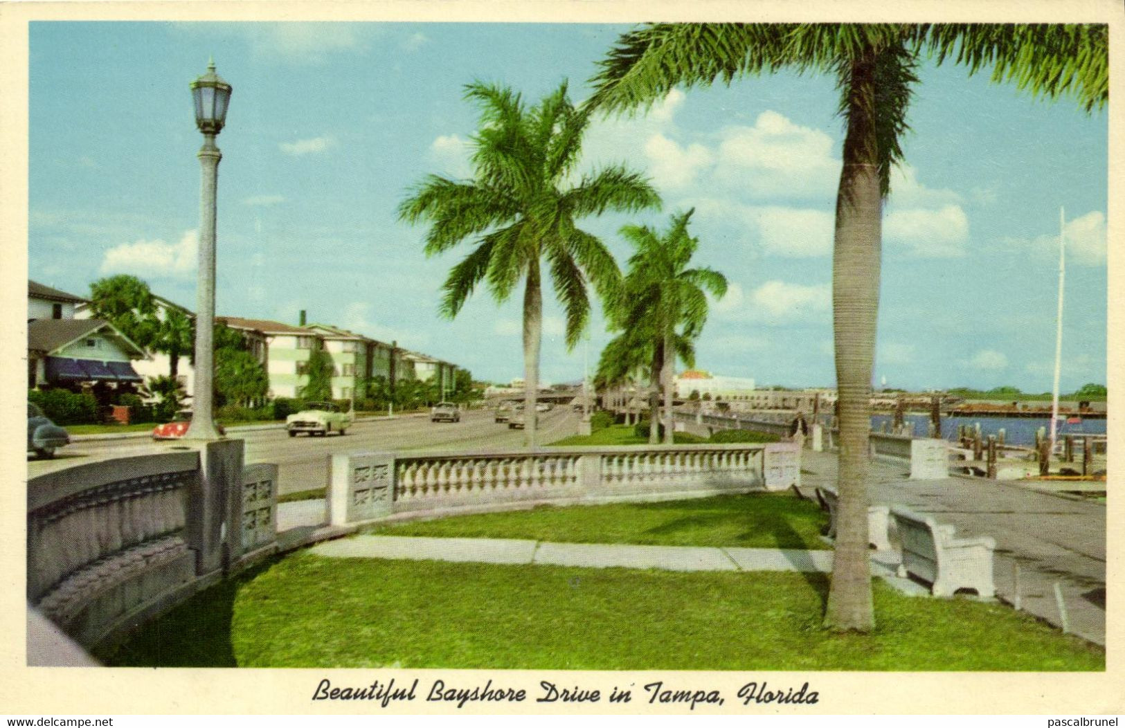 TAMPA - BEAUTIFUL BAYSHORE DRIVE IN TAMPA - Tampa