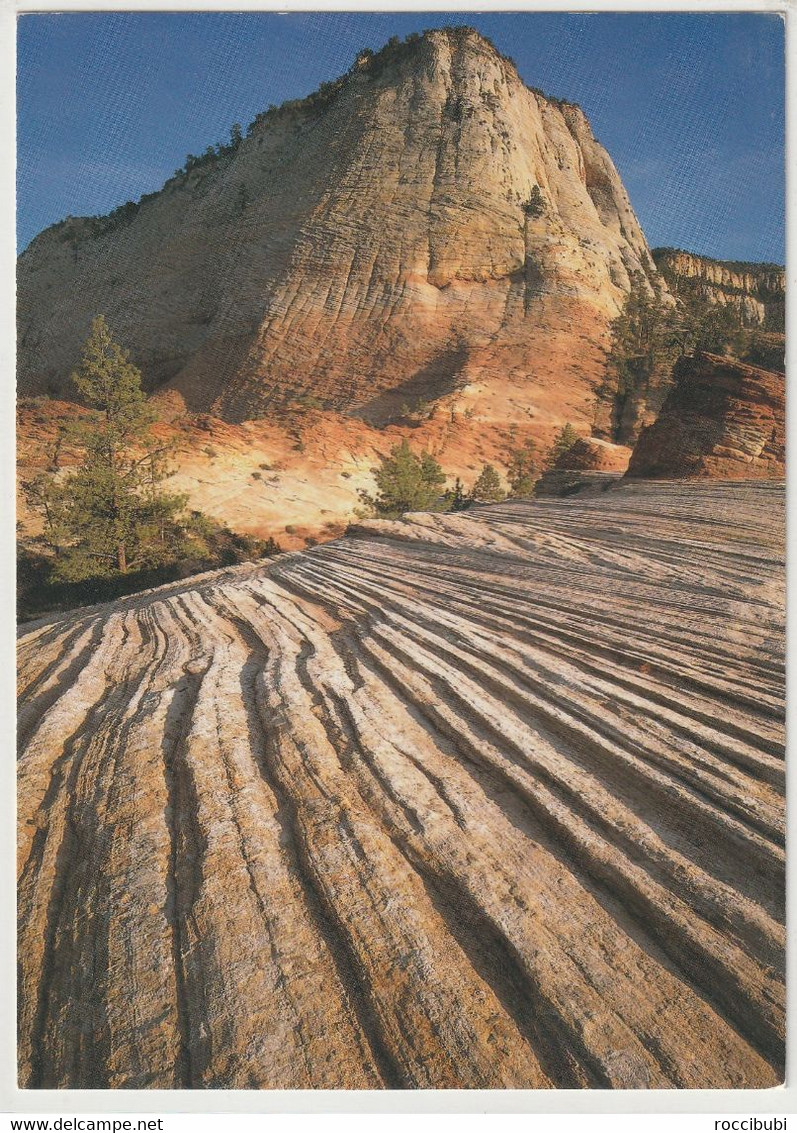 Zion National Park, Utah, USA - Zion