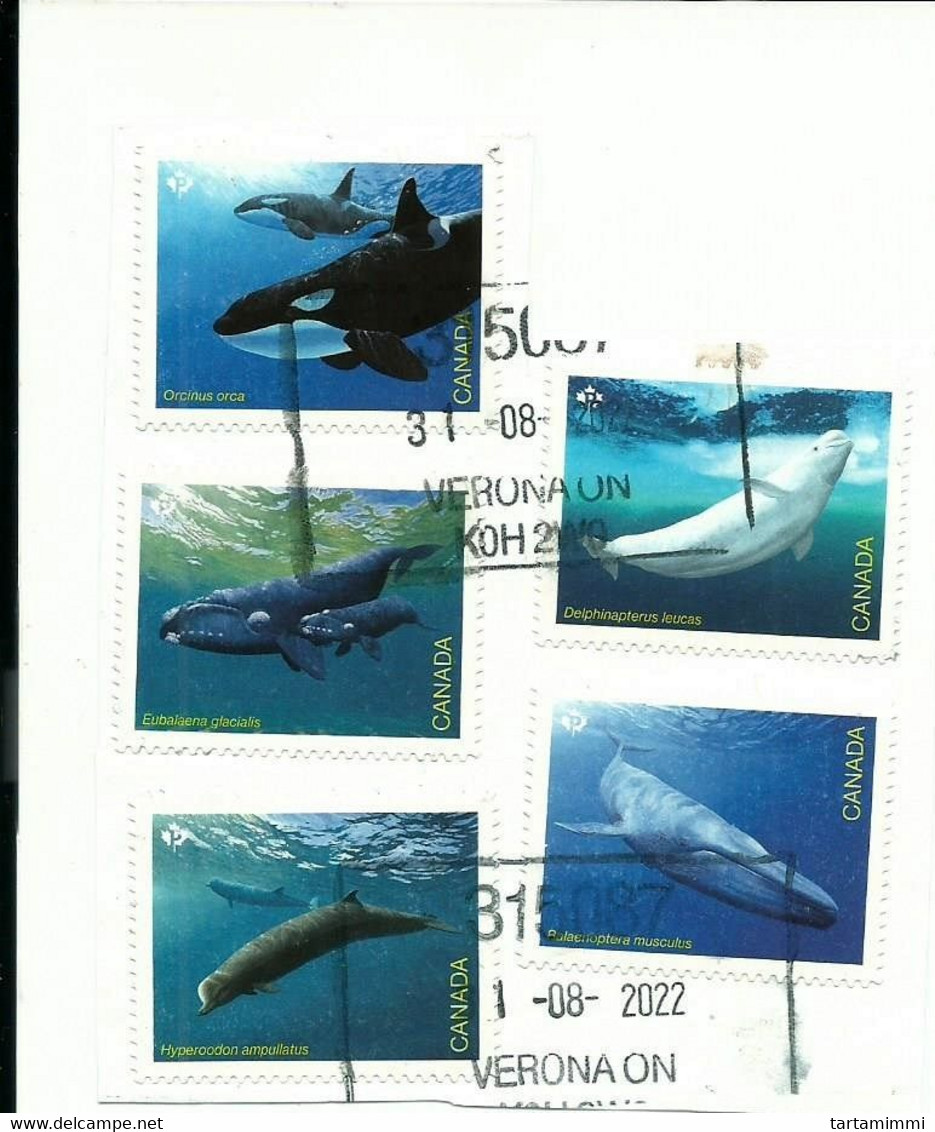 CANADA 2022 Endangered Whales 5v COMPLETE SET SELF ADESIVE On Paper TOPIC MARINE MAMMALS BALENE BALEINES BALLENAS - Used Stamps