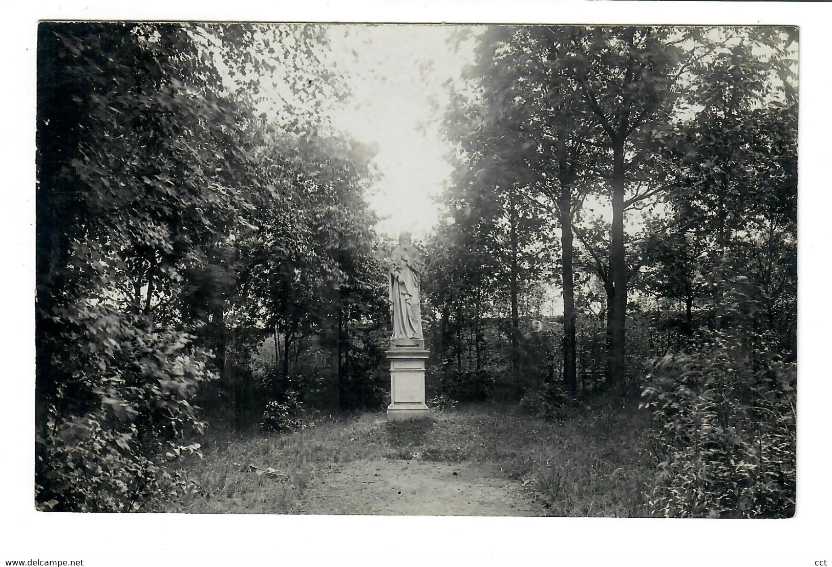 Virton  CARTE PHOTO / MERE  De L'edit  Collège Saint-Joseph Une Allée Du Jardin - Virton