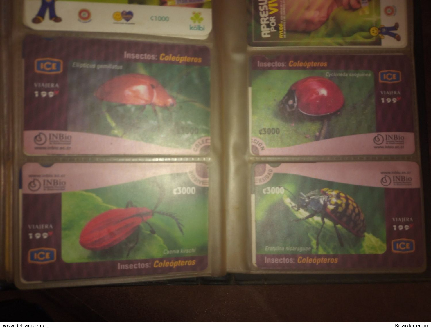 COSTA RICA, CENTRAL AMÉRICA: 4 DIFFERENT COLEPTERA PHONECARDS - Costa Rica