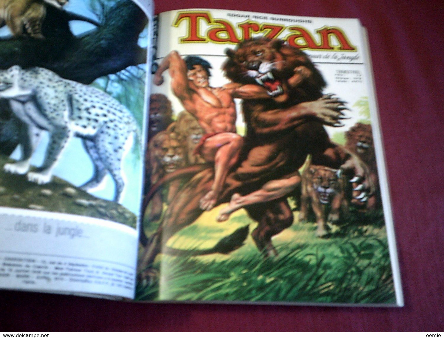 TARZAN  ALBUM  N° 7 - Tarzan