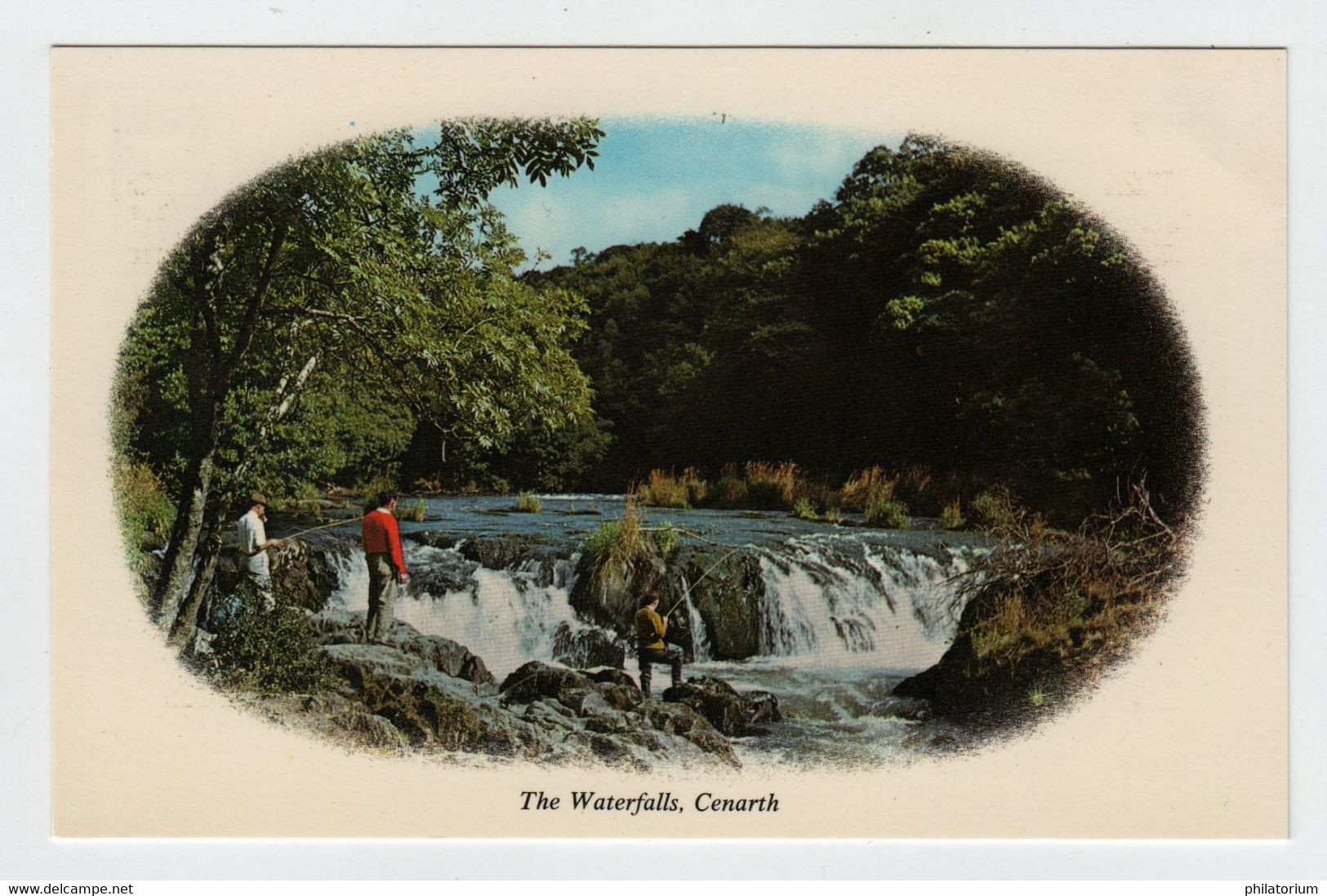 Cymru, Pays De Galles, CENARTH, Les Chutes D'eau. - Carmarthenshire