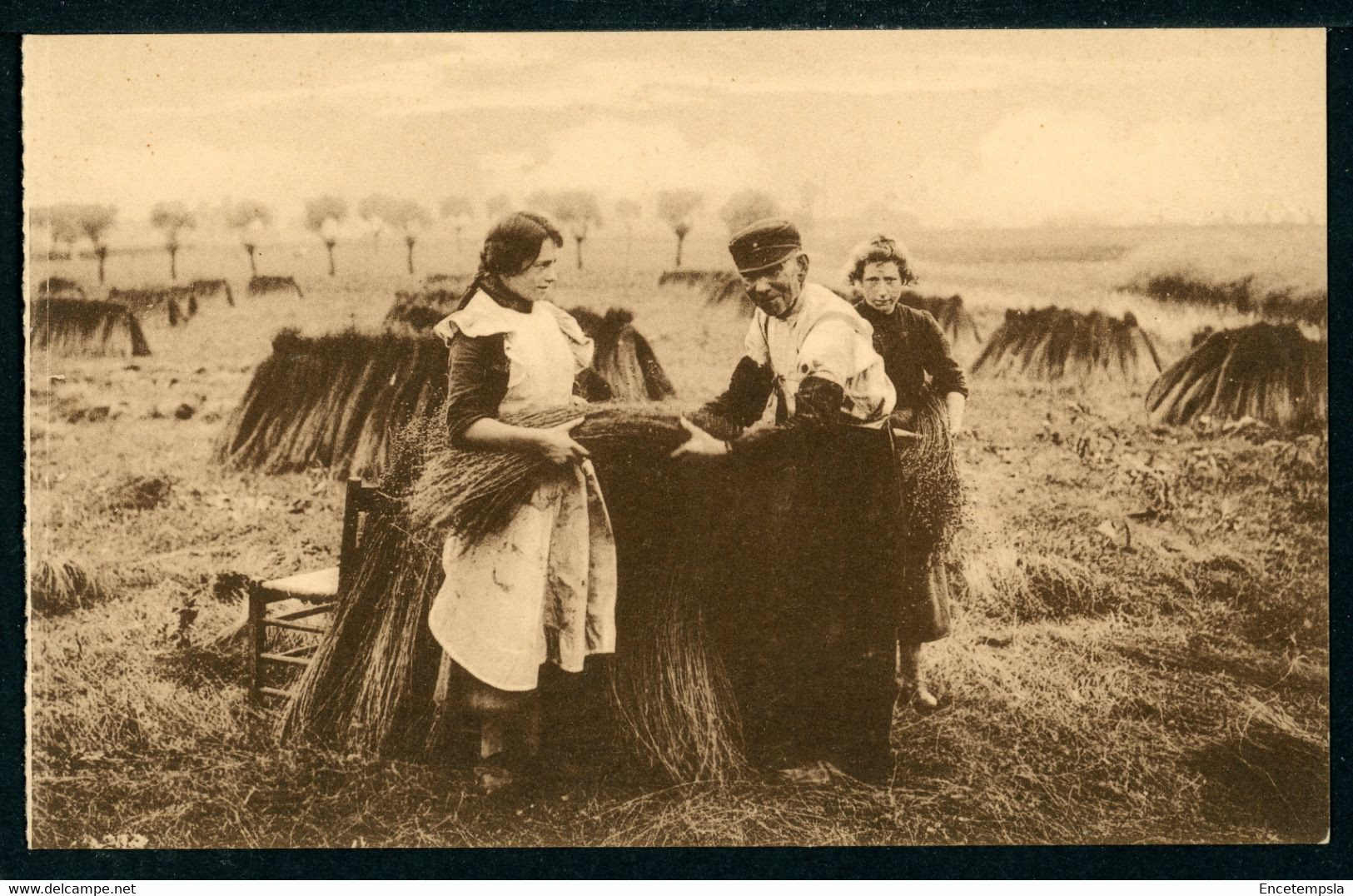 CPA - Carte Postale - Belgique - La Mise En Chaînes Du Lin Vert (CP22295) - Cultures