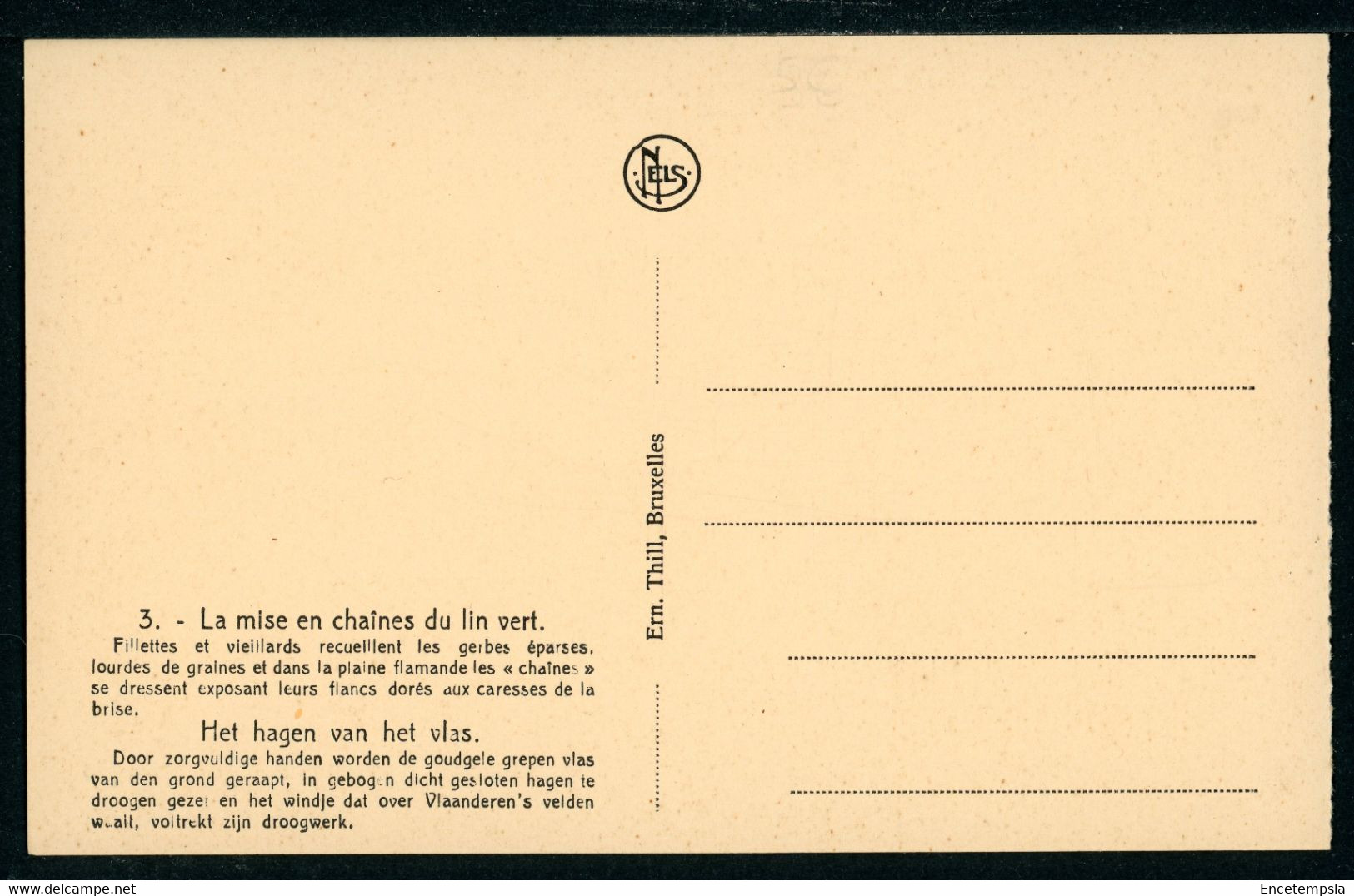 CPA - Carte Postale - Belgique - La Mise En Chaînes Du Lin Vert (CP22295) - Cultures