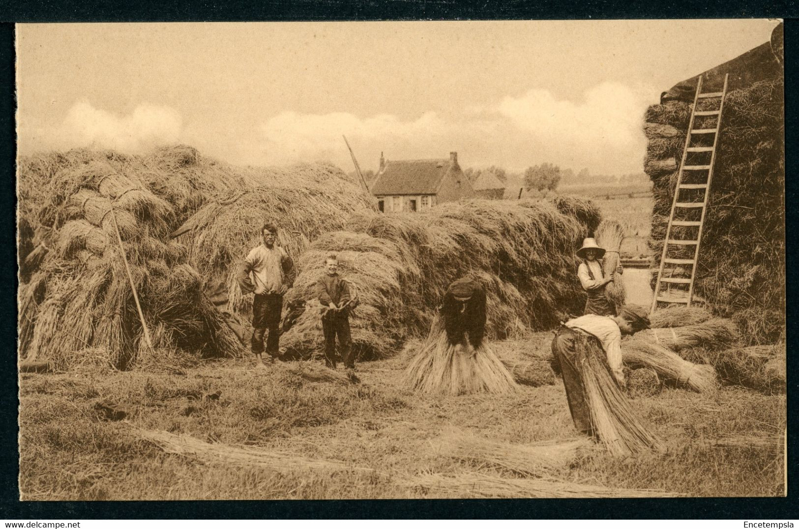 CPA - Carte Postale - Belgique - La Mise En Tas (CP22296) - Cultures