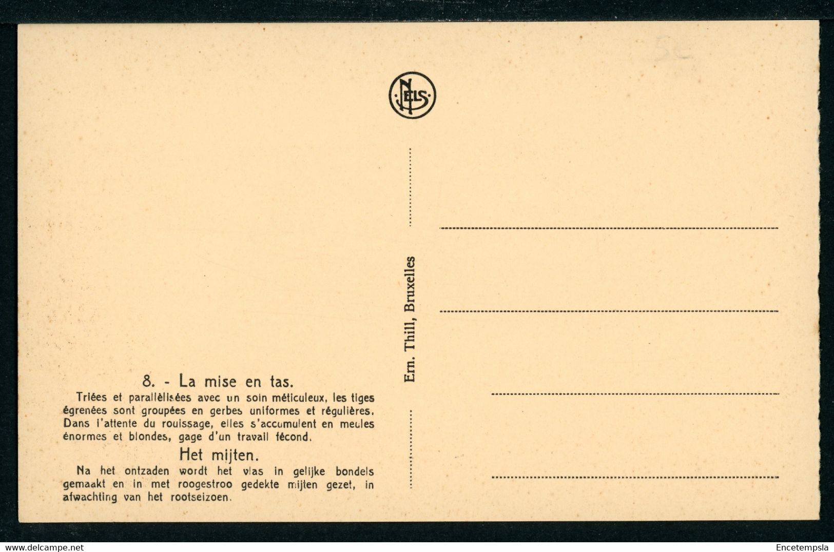 CPA - Carte Postale - Belgique - La Mise En Tas (CP22296) - Cultures