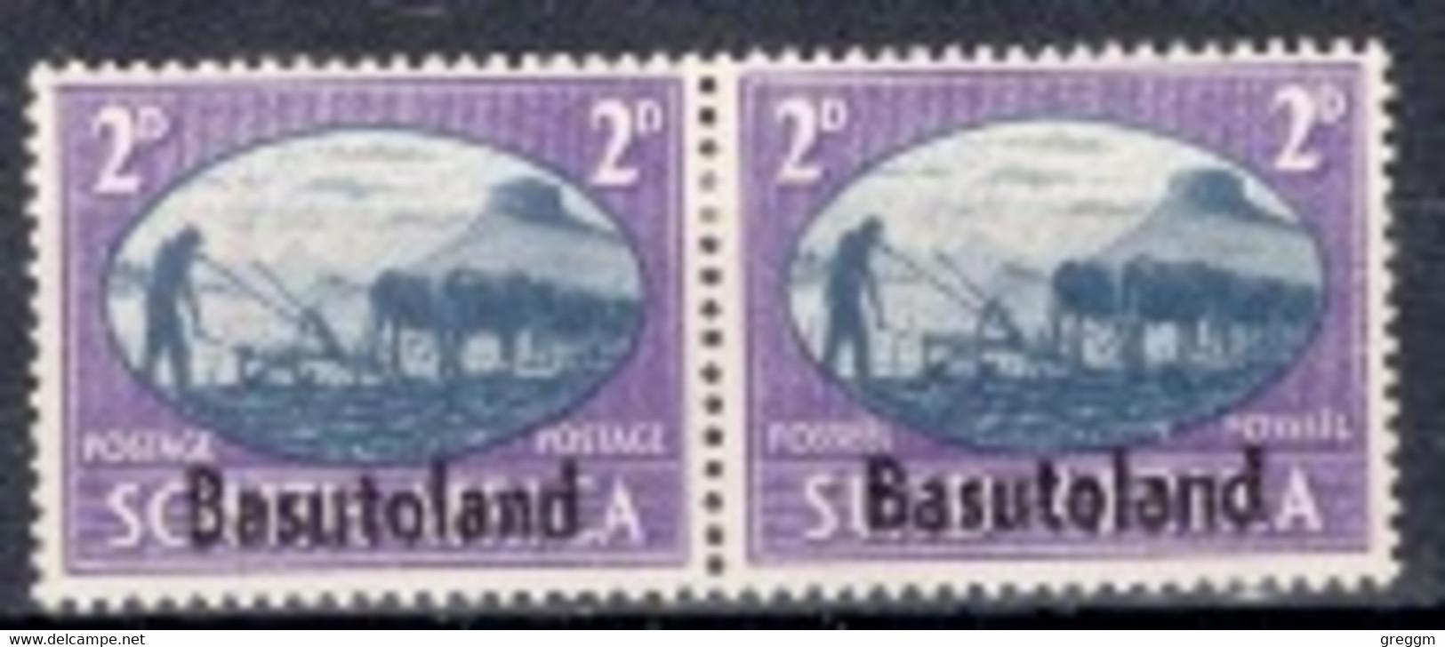 Basutoland 1946 Pair Of 2d Stamp From The Victory Set In Mounted Mint - 1965-1966 Gouvernement Autonome