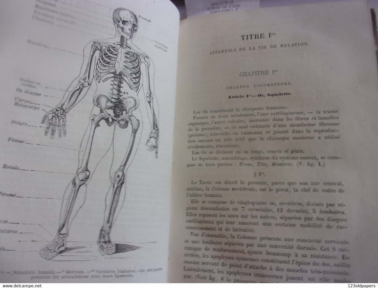 ♥️ EO 1876 GUIDE MEDICAL PRATIQUE DE L OFFICIER CHASSAGNE DESBROUSSES PLANCHES SOLDAT...VOIR PHOTOS CHAPITRES - Francés