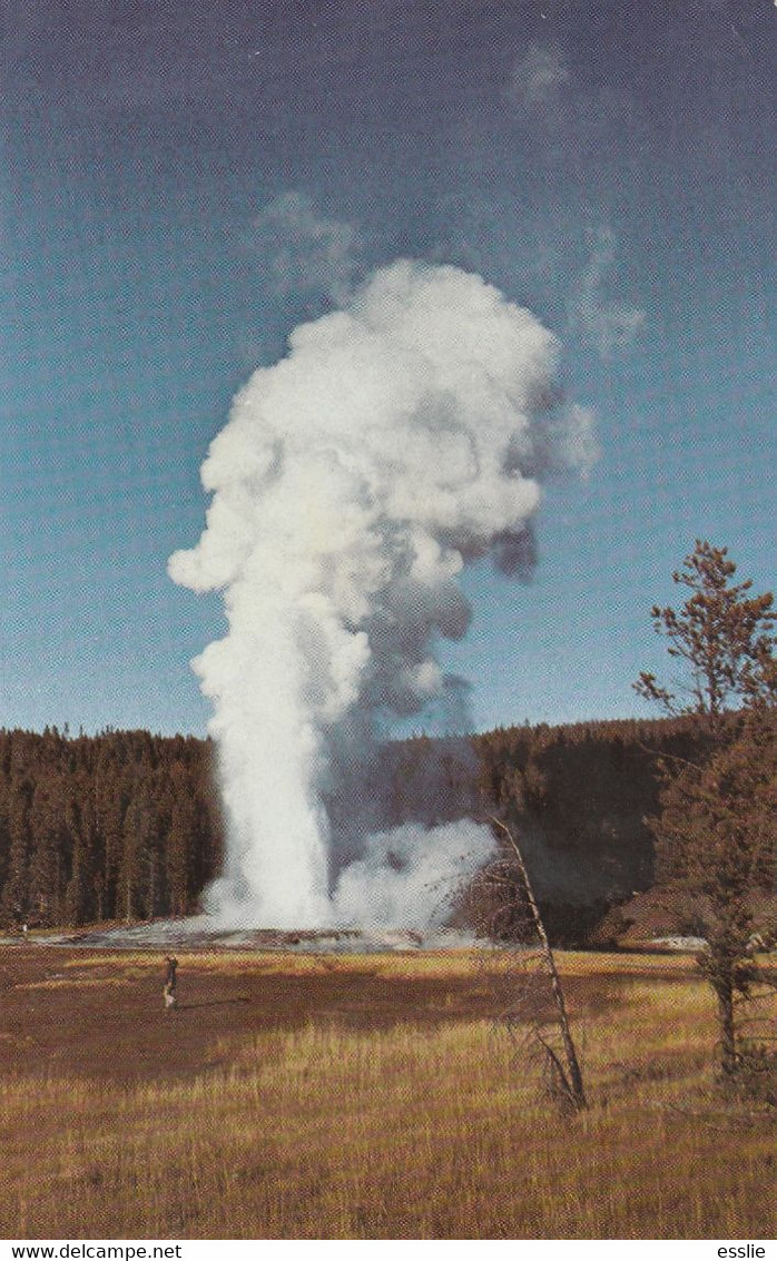 United States Of America USA Giant Geyser Yellowstone National Park Old Faithful? 1973 - Yellowstone